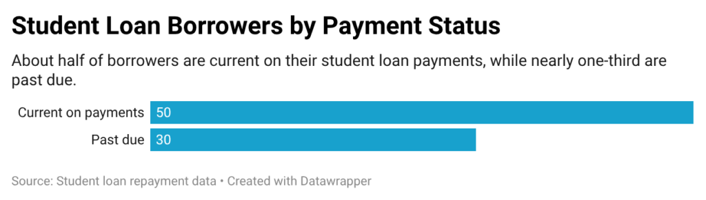 Student Loan Borrowers by Payment Status