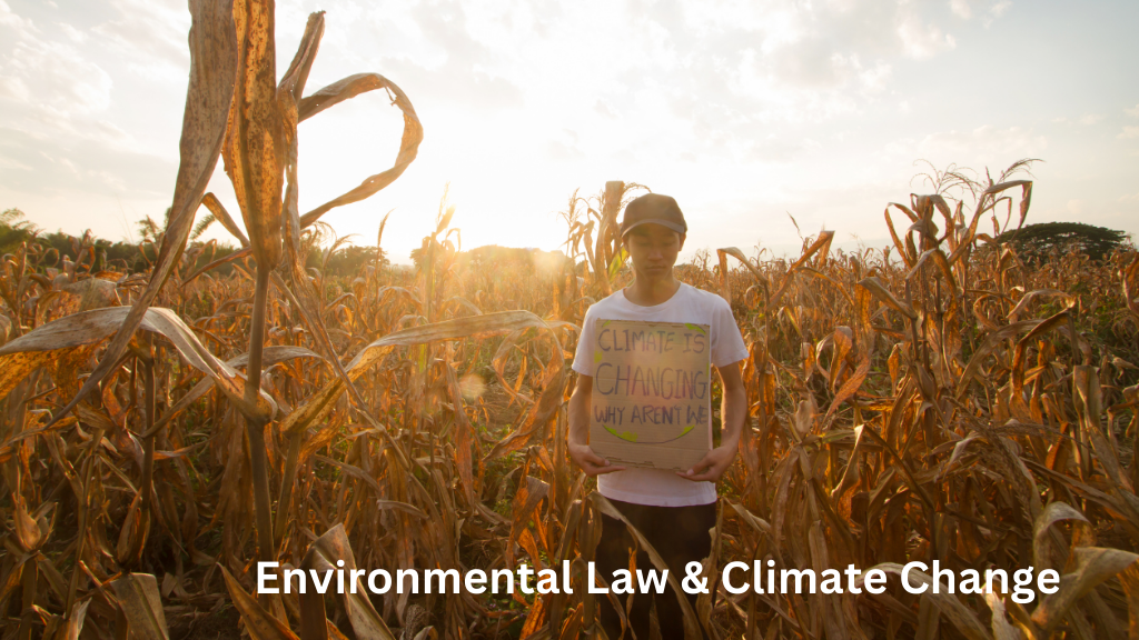 Young person standing in a dry cornfield holding a sign about climate change, illustrating environmental law and the impact of climate change on agriculture.