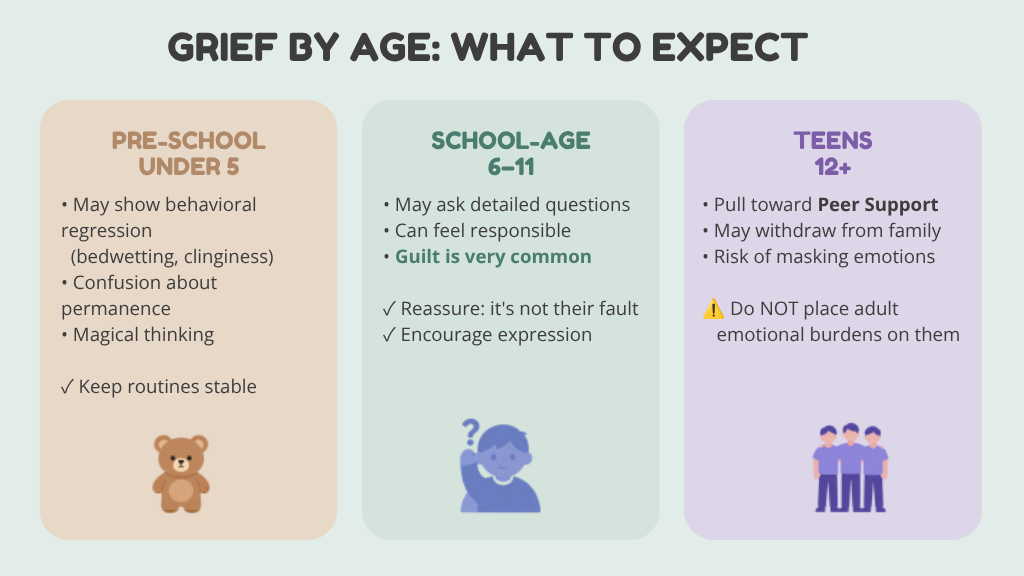 The graphic features three colored columns breaking down age-specific grief responses and support tips. The first column (peach) is for "Pre-School Under 5," listing signs like behavioral regression, confusion about permanence, and magical thinking, with a tip to keep routines stable next to a teddy bear icon. The second column (green) is for "School-Age 6–11," noting that they may ask detailed questions, feel responsible, or experience common guilt, with checkmarks suggesting reassurance and encouraging expression next to an icon of a child with a question mark. The third column (purple) is for "Teens 12+," noting a pull toward peer support, withdrawal from family, and a risk of masking emotions, with a warning icon advising not to place adult emotional burdens on them, paired with an icon of three peers.